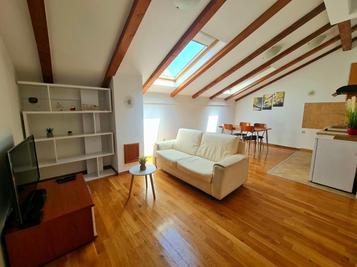 Apartment Roko *
