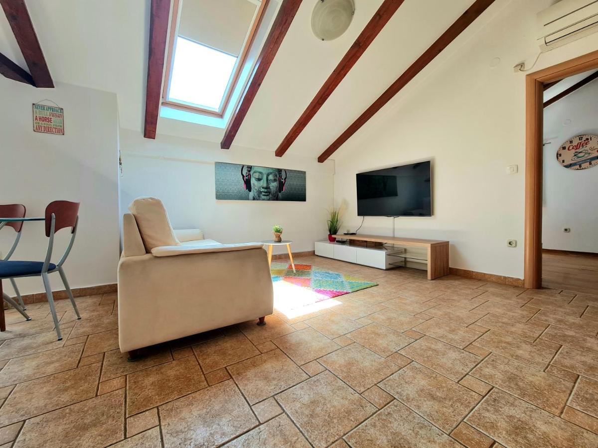 Apartment Roko