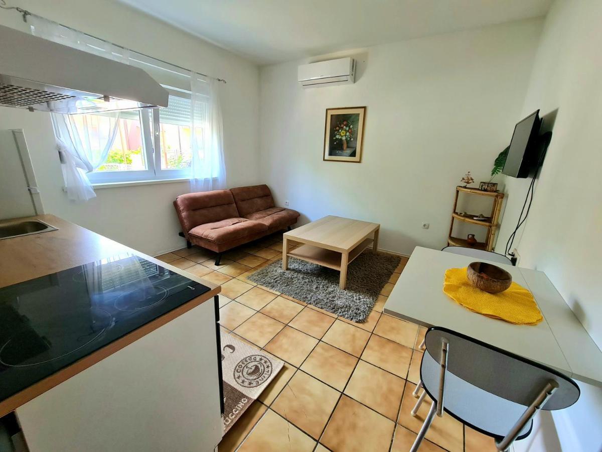 Apartment Roko